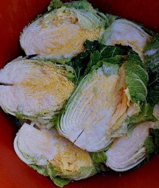 손윤영/수채화농원님의 작성글 사진