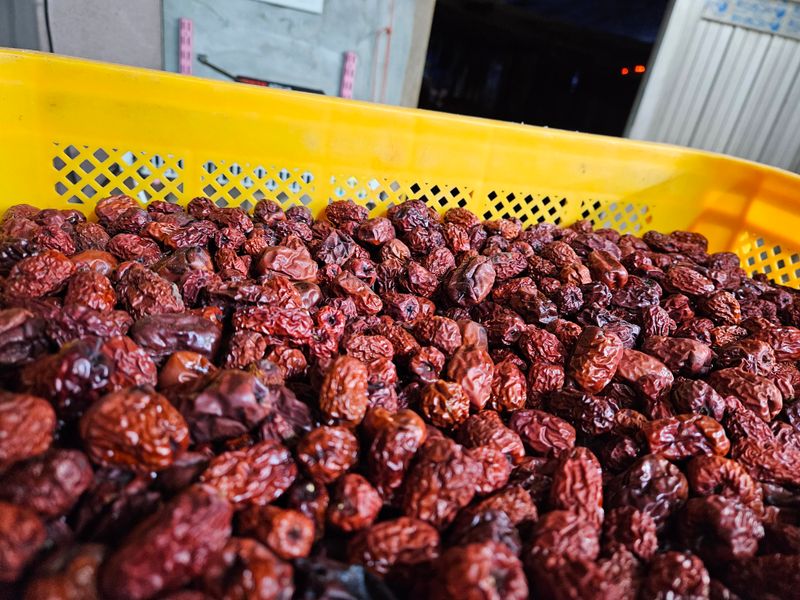 손윤영/수채화농원님의 장터 판매 상품 [서리태1kg] 첨부 사진