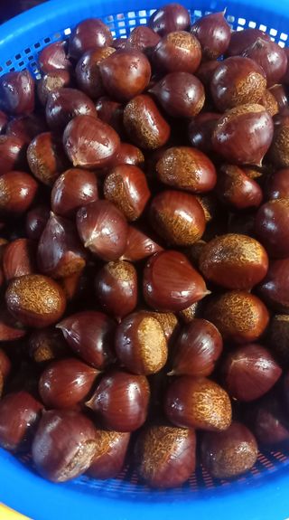 장만월님의 자유주제 · 자유게시판 작성글 사진