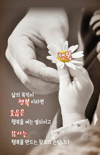 심수연님의 자유주제 · 자유게시판 작성글 사진