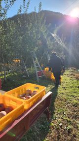 팜모닝 오늘 어떤 농작업하셨나요?·참여글 게시글 이미지