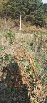 팜모닝 오늘 어떤 농작업하셨나요?·참여글 게시글 이미지