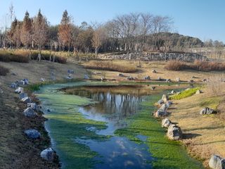이미옥님의 벼 · 영농일지 작성글 사진