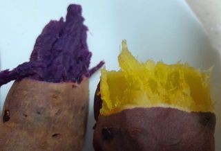 이미옥님의 벼 · 영농일지 작성글 사진