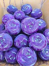 팜모닝 오늘 어떤 농작업하셨나요?·참여글 게시글 이미지