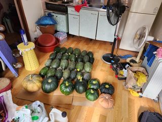 조정권님의 오늘 어떤 농작업하셨나요? · 참여글 작성글 사진