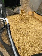 팜모닝 · 게시글 이미지