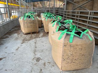 김재우님의 작성글 사진