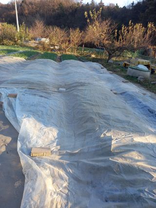 땅땅님의 마늘 · 일상 작성글 사진