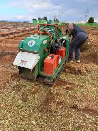 박린님의 고추 · 일상 작성글 사진