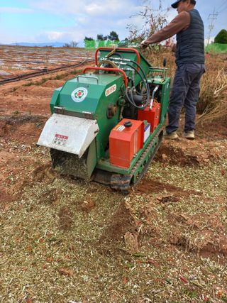 박린님의 고추 · 일상 작성글 사진