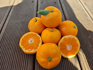 선물차롱님의 작성글 사진