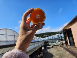 선물차롱님의 작성글 사진