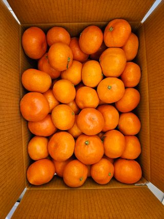 선물차롱님의 작성글 사진