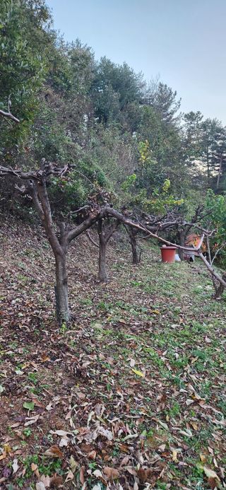 김인철님의 오늘 어떤 농작업하셨나요? · 참여글 작성글 사진