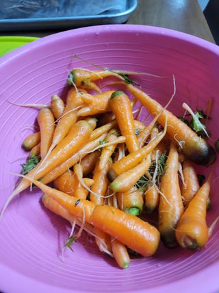 박산숙농부님의 오늘 어떤 농작업하셨나요? · 참여글 작성글 사진