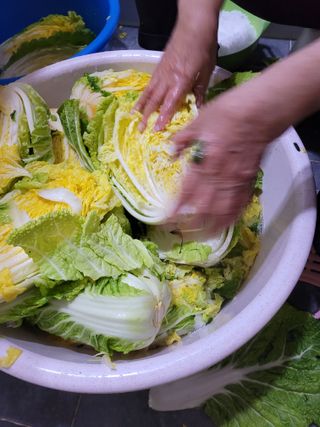 박산숙농부님의 오늘 어떤 농작업하셨나요? · 참여글 작성글 사진