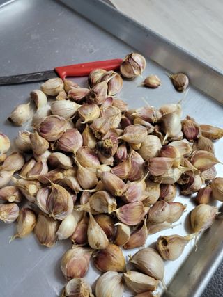 박산숙농부님의 오늘 어떤 농작업하셨나요? · 참여글 작성글 사진