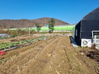 박산숙농부님의 오늘 어떤 농작업하셨나요? · 참여글 작성글 사진