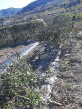 팜모닝 오늘 어떤 농작업하셨나요?·참여글 게시글 이미지