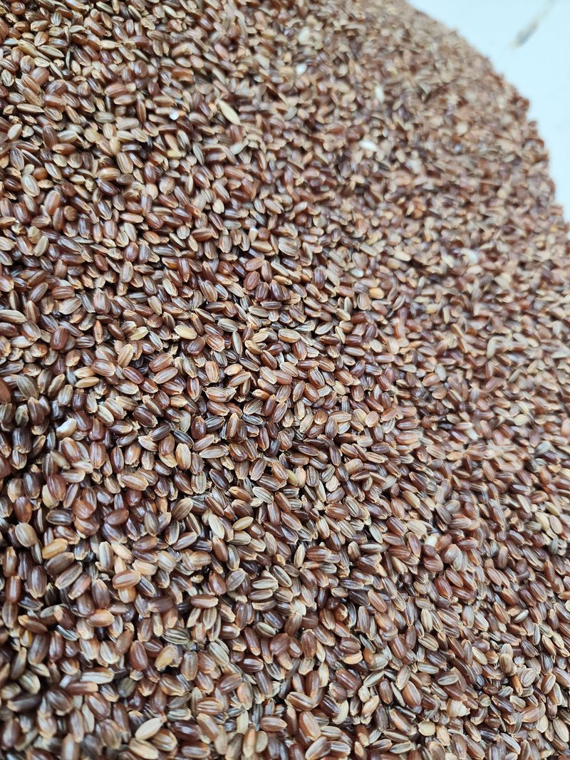 장터 상품 [홍미10kg 마지막 10개한정 무료배송] 썸네일