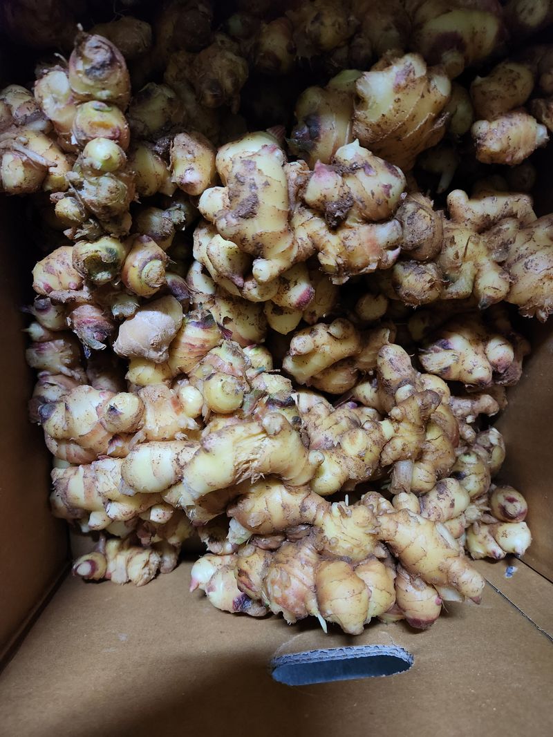 장터 상품 [햇생강5키로] 썸네일