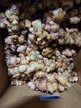 팜모닝 · 게시글 이미지