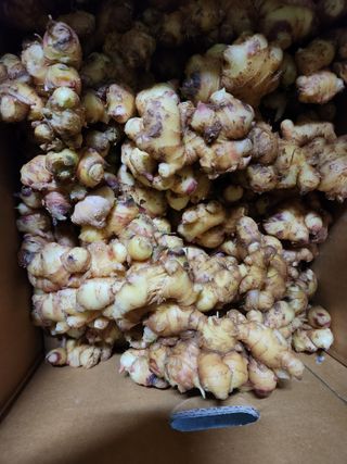 최승일님의 작성글 사진