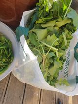 팜모닝 자유주제·자유게시판 게시글 이미지