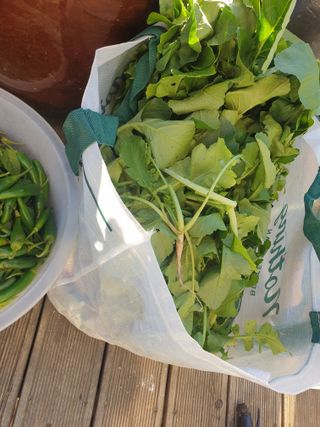 최순님의 자유주제 · 자유게시판 작성글 사진