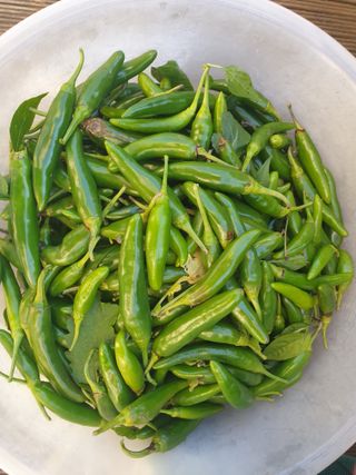 최순님의 자유주제 · 자유게시판 작성글 사진