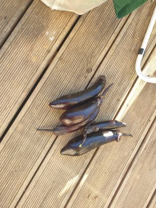 최순님의 자유주제 · 자유게시판 작성글 사진