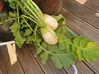 최순님의 자유주제 · 자유게시판 작성글 사진