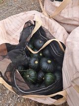 팜모닝 오늘 어떤 농작업하셨나요?·참여글 게시글 이미지