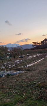 팜모닝 오늘 어떤 농작업하셨나요?·참여글 게시글 이미지