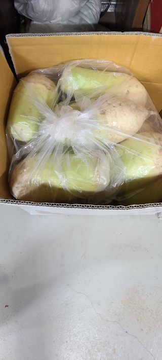 풀잎사랑님의 오늘 어떤 농작업하셨나요? · 참여글 작성글 사진