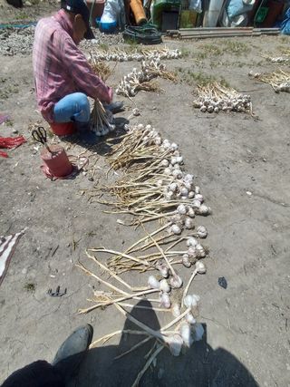 오남현님의 작성글 사진