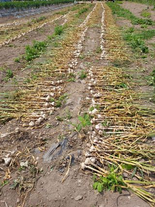 오남현님의 작성글 사진