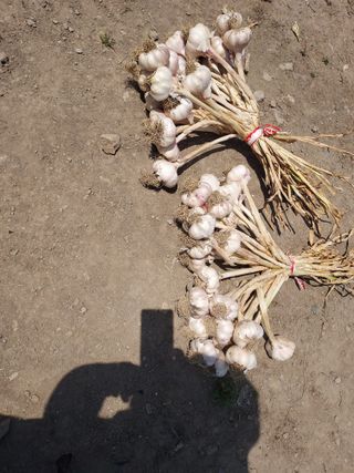 오남현님의 작성글 사진