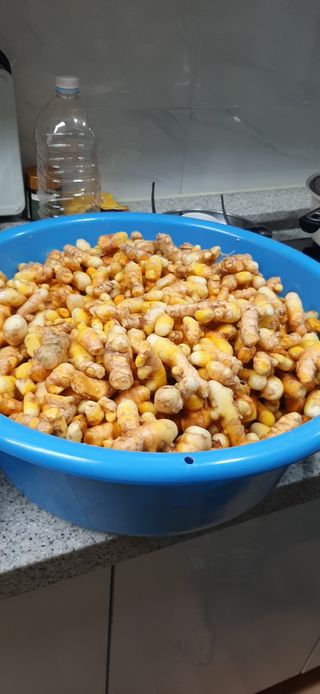 이강재님의 오늘 어떤 농작업하셨나요? · 참여글 작성글 사진