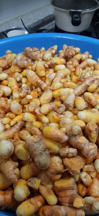 이강재님의 오늘 어떤 농작업하셨나요? · 참여글 작성글 사진