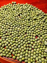 팜모닝 · 게시글 이미지