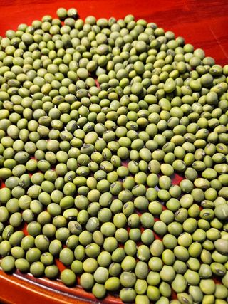 동글이선님의 작성글 사진