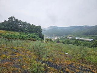 행운아님의 오늘 어떤 농작업하셨나요? · 참여글 작성글 사진