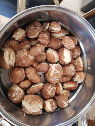 당근한개님의 기타작물 · 자유게시판 작성글 사진