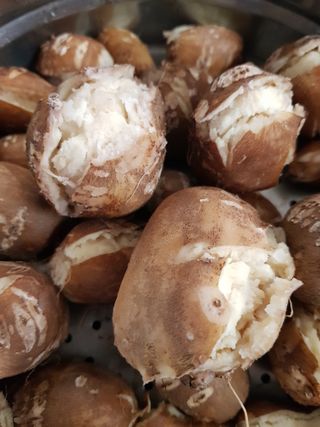 당근한개님의 기타작물 · 자유게시판 작성글 사진