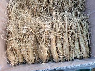 모두팜님의 오늘 어떤 농작업하셨나요? · 참여글 작성글 사진