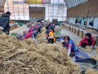 모두팜님의 오늘 어떤 농작업하셨나요? · 참여글 작성글 사진