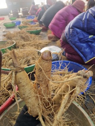 모두팜님의 오늘 어떤 농작업하셨나요? · 참여글 작성글 사진