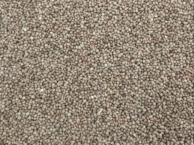 장터 상품 [들깨 6kg 판매 ] 썸네일